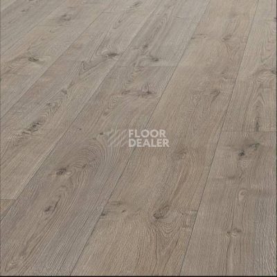 Ламинат Haro Tritty 100 Gran Via 4V ДУБ ПОРТЛЭНД СЕРЫЙ 533139 фото 1 | FLOORDEALER